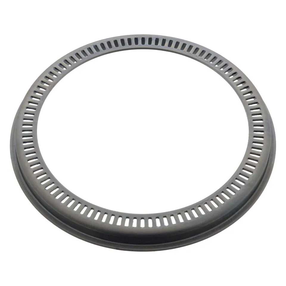 Bilstein Frenante 46787 anello ABS anteriore acciaio 100 denti
