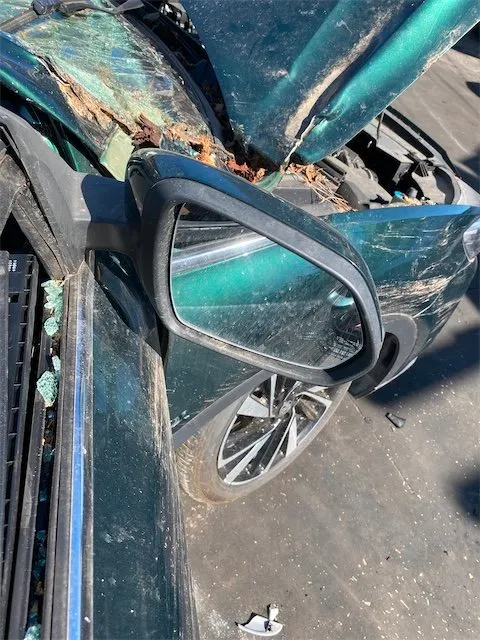 Pomili Cristalli MG ZS retrovisore destro elettrico