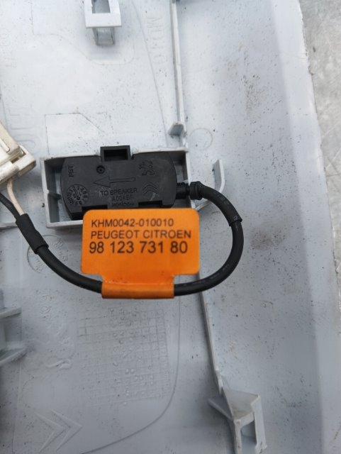 Pomili Fanaleria luce cortesia anteriore tetto Peugeot 2008