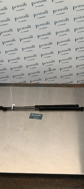 Pomili Lamierati esterni Ford Fiesta (CCN) asta sostegno cofano anteriore