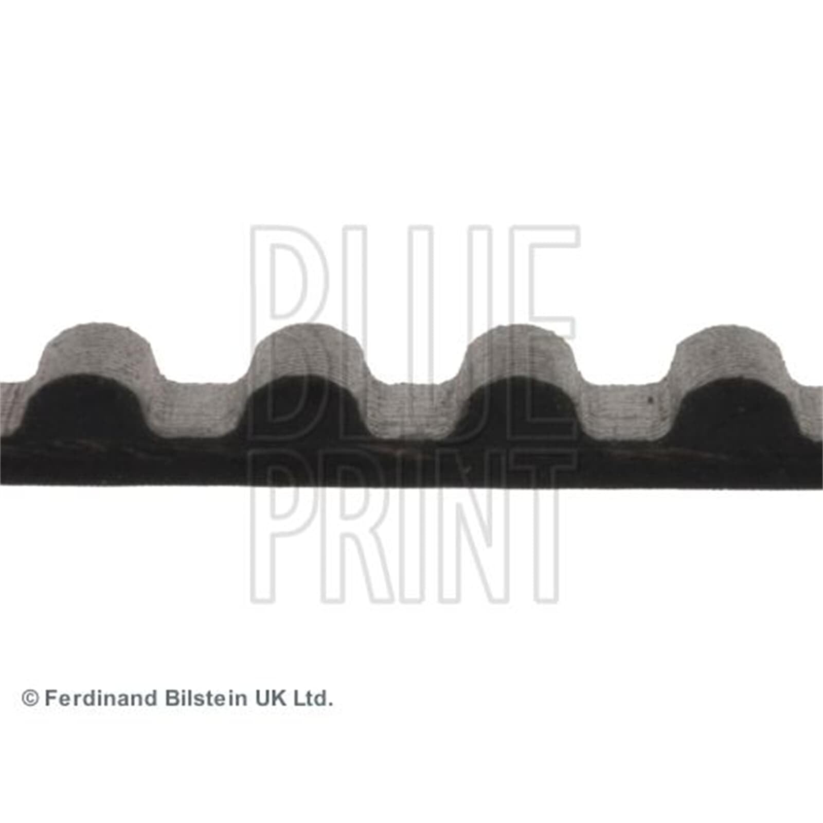 Blue Print ADC47511 cinghia dentata 123 denti, larghezza 19 mm