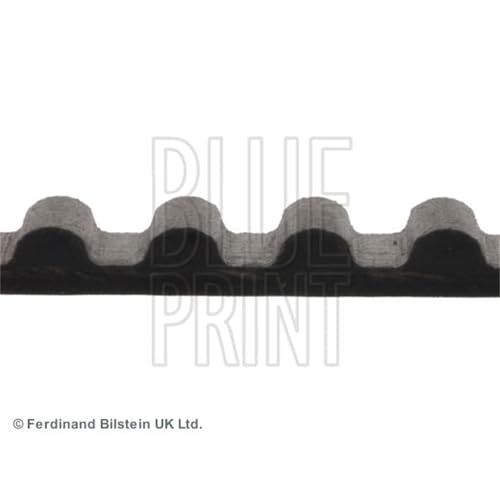 Blue Print ADC47511 cinghia dentata 123 denti, larghezza 19 mm