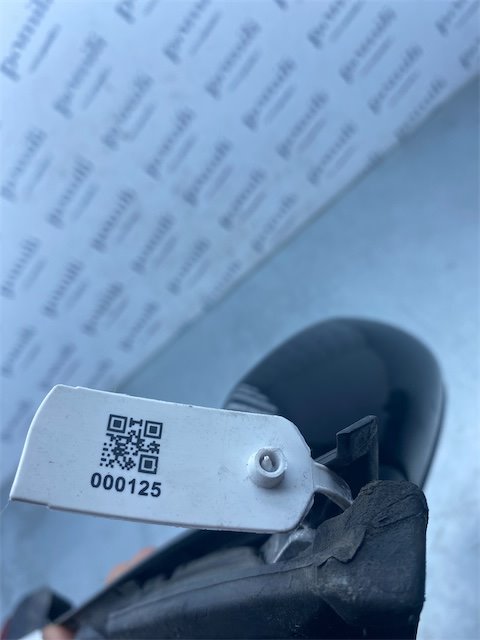 Pomili Cristalli Retrovisore esterno sinistro BMW Serie 1 E87