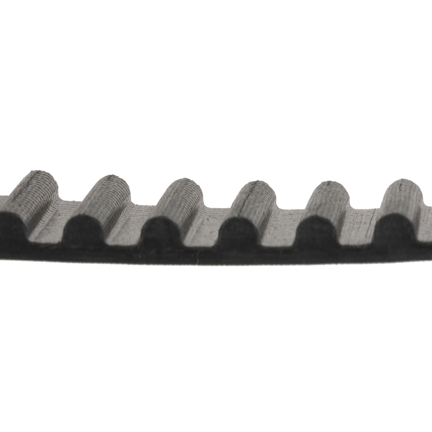 Bilstein Distribuzione ADT37509 cinghia dentata 123 denti