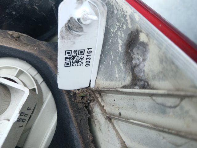 Pomili Fanaleria Fanale post. SX BMW Serie 1 (E81/E87) (03/07>12/12<) sinistro
