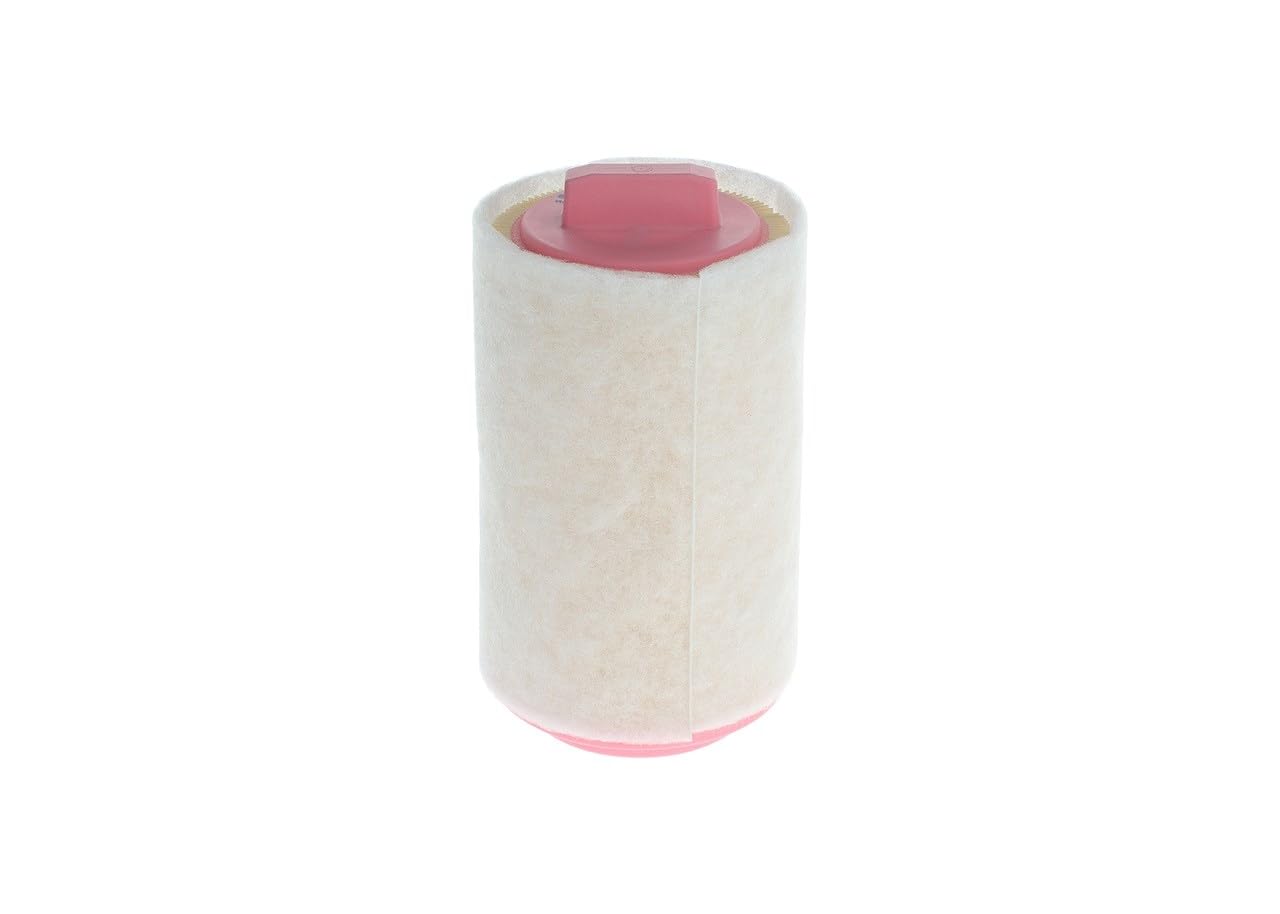 Bosch HCP Filtri F026400367 filtro aria per MINI