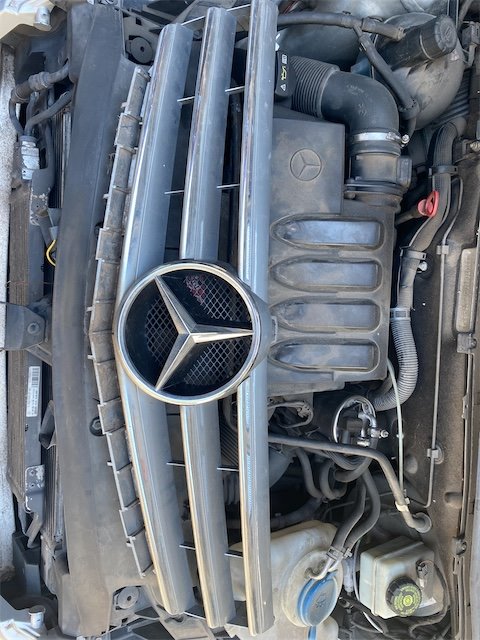 Pomili Lamierati esterni Griglia Mercedes-Benz Classe A (W/C169)