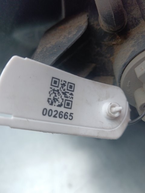 Pomili Fanaleria Fanale posteriore sinistro FORD FOCUS CB8 02/11-11/15