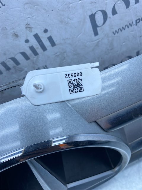 Pomili Lamierati esterni Griglia Mercedes-Benz Classe A (W/C169)
