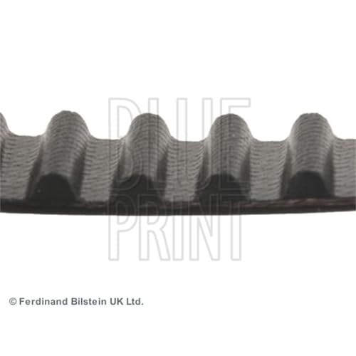 Bilstein Distribuzione Blue Print ADH27506 cinghia dentata