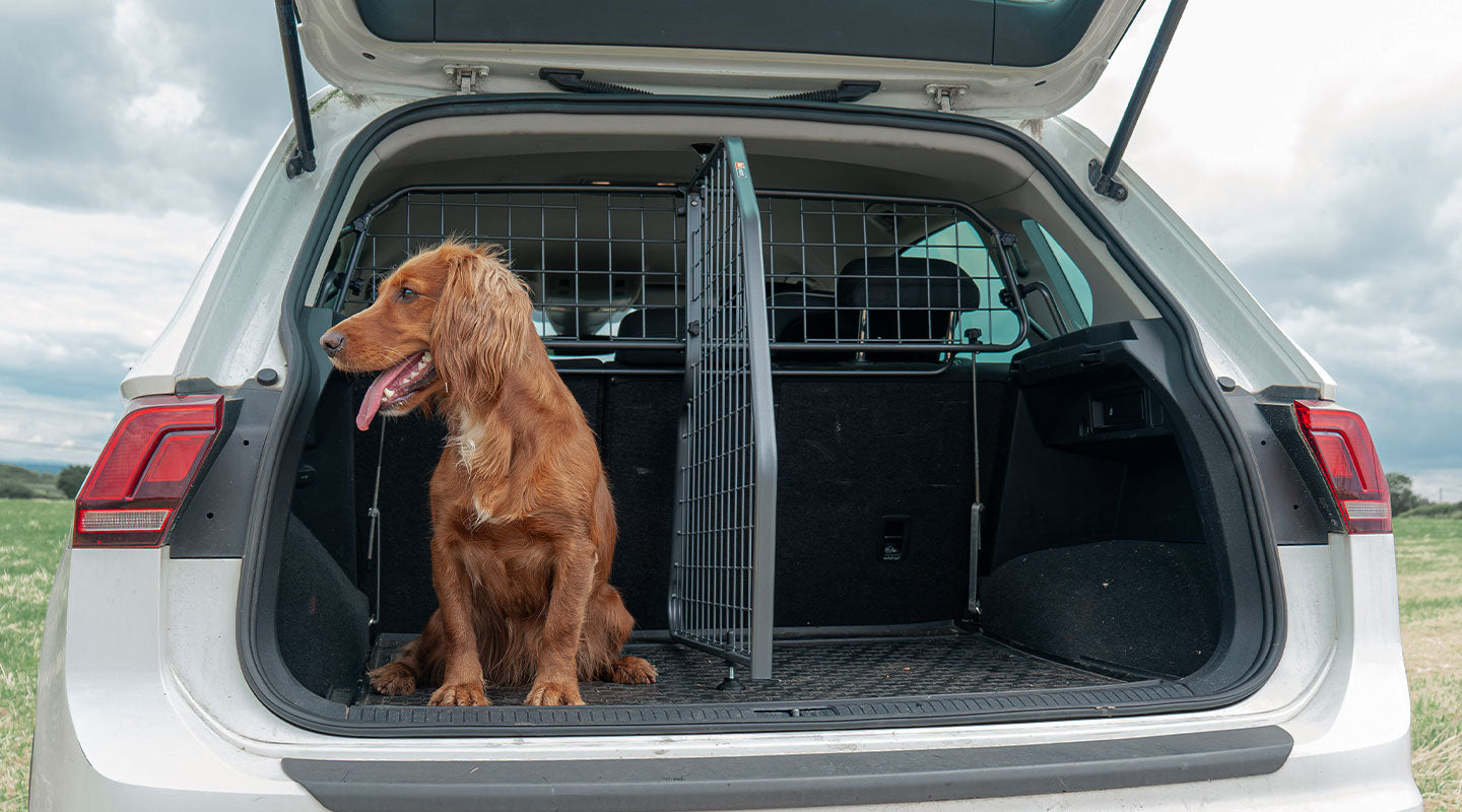 Travall Trunk Dividers MG HS 2024 divisorio bagagliaio per animali e bagagli
