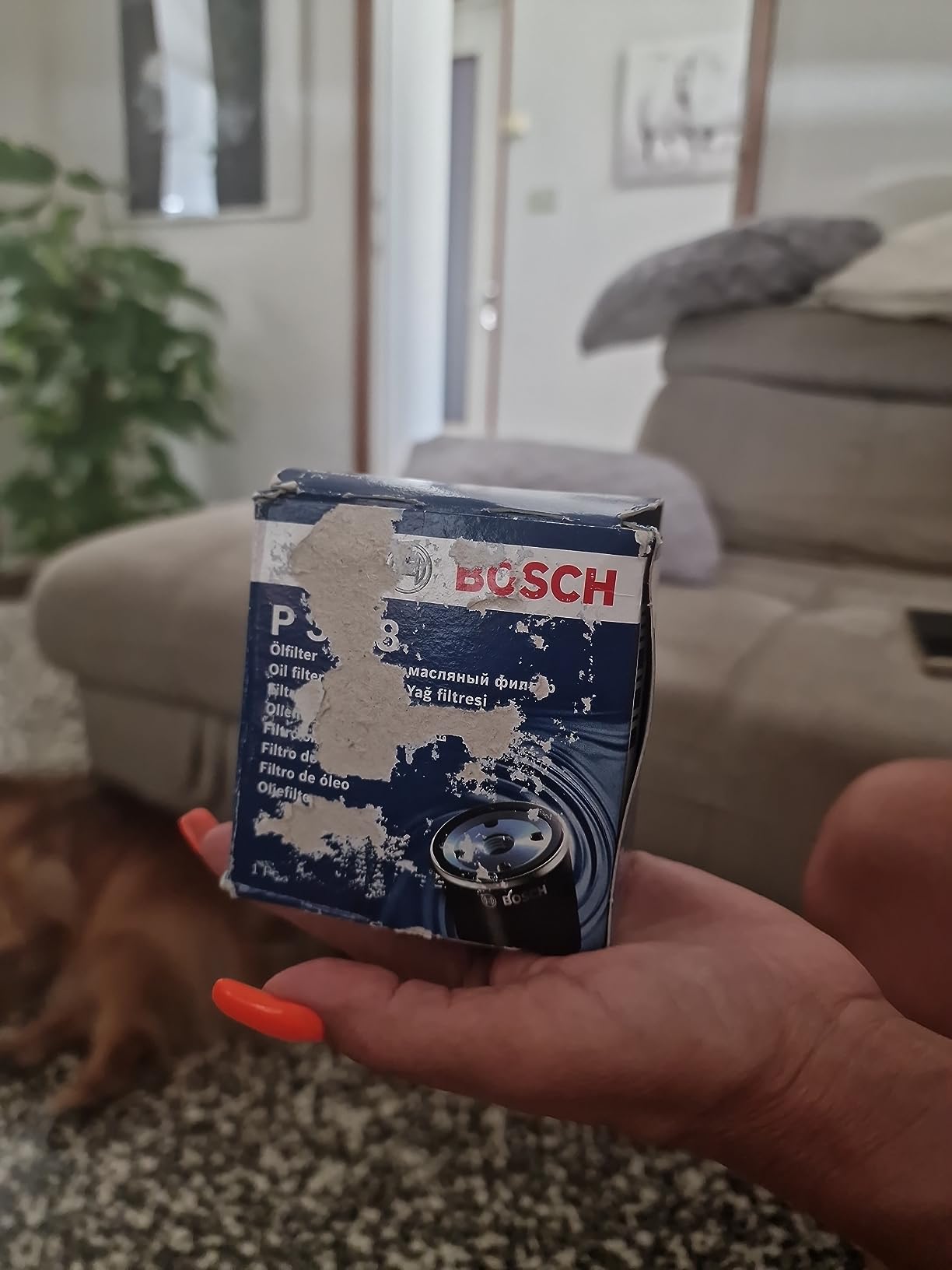 Bosch HCP Filtri P3318 filtro olio spin-on con valvola di non ritorno
