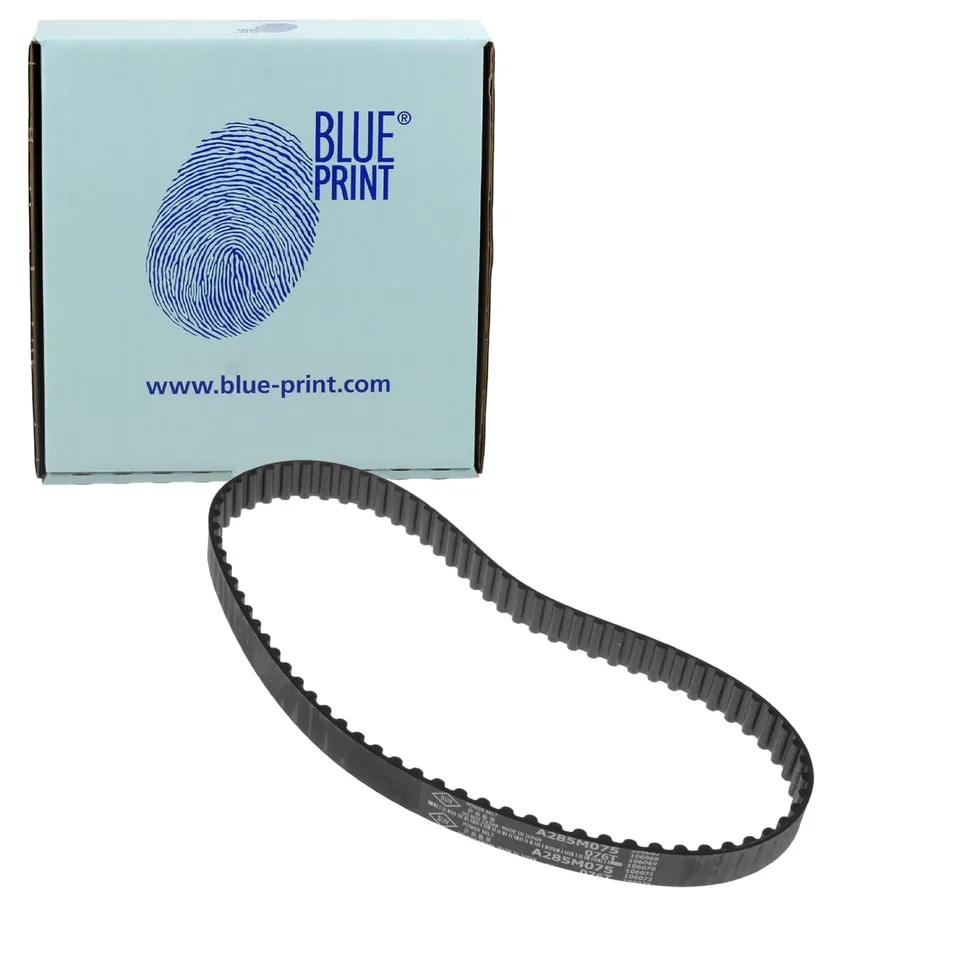 Bilstein Distribuzione Blue Print ADN17513 cinghia dentata