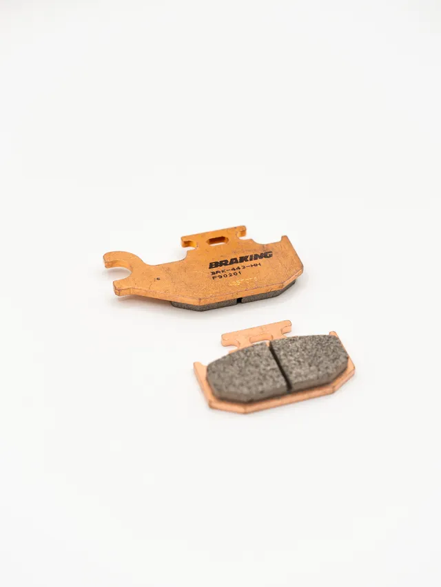 BRAKING Pastiglie ATV/UTV Sinterizzate P90201 pastiglie freno ATV/UTV