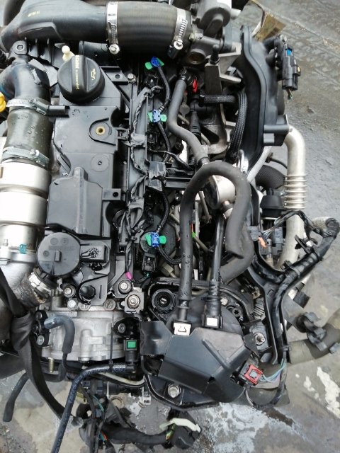 Pomili Motore e cambio con supporti Ford Fiesta CCN motore semicompleto