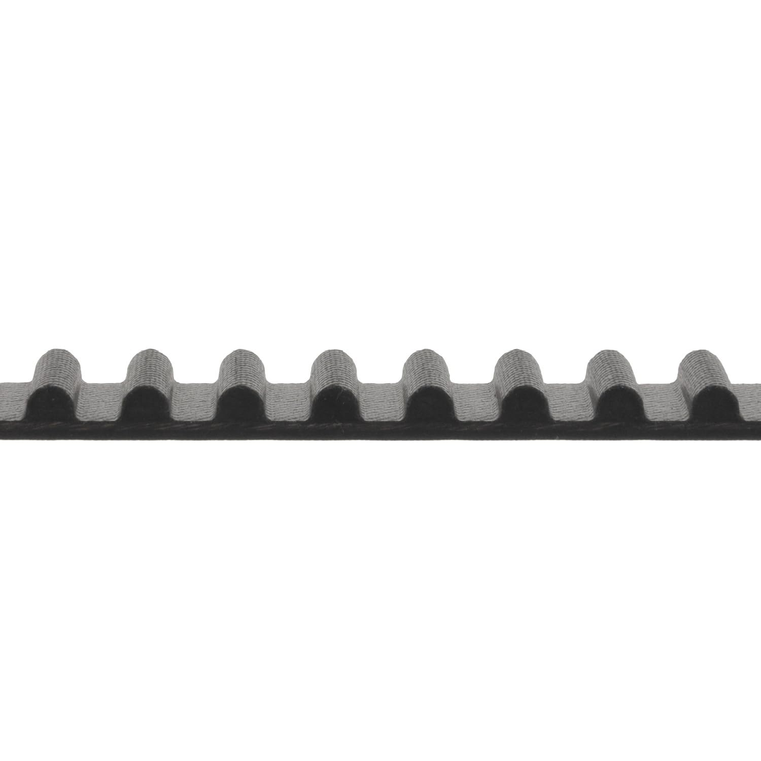 Blue Print ADG07501 cinghia dentata 20 mm, 125 denti