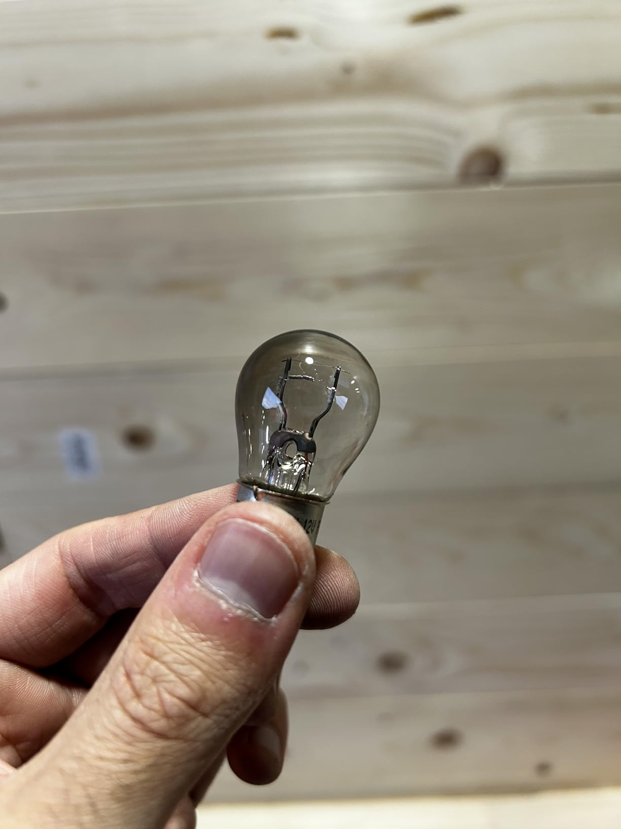 Bosch HCP Lampadine e illuminazione P21/5W Longlife Daytime alogene 12 V 2 pezzi