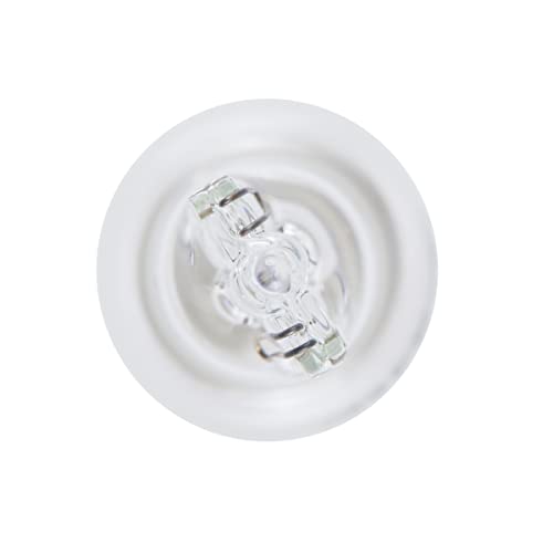 Bosch Lampadine e illuminazione Pure Light W16W lampadine auto 2 pezzi alogene