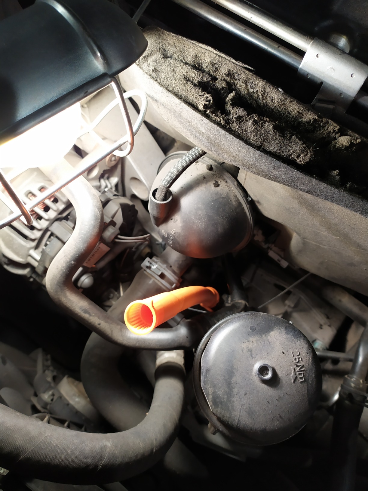 febi bilstein Componenti Motore FE19752 guida asta olio