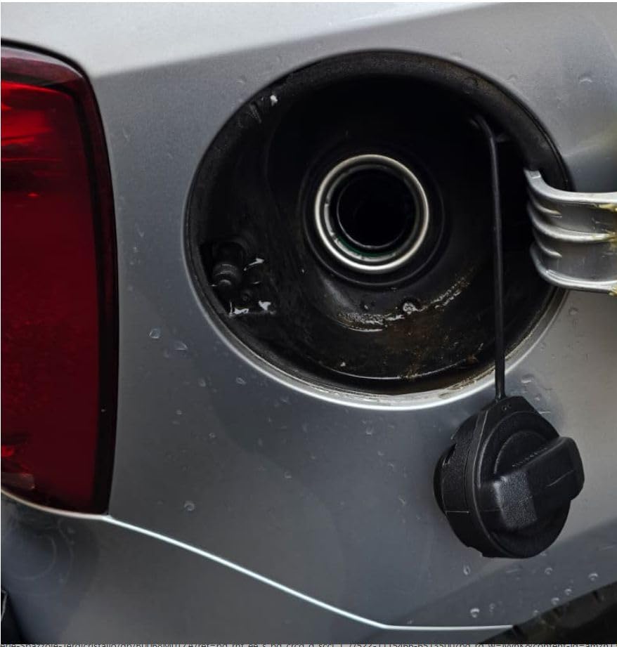 Bilstein Carrozzeria e abitacolo febi bilstein 27288 tappo serbatoio con cinturino non bloccabile