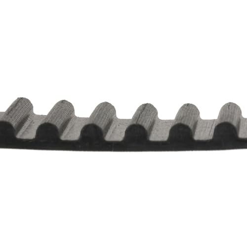 Bilstein Distribuzione ADT37509 cinghia dentata 123 denti