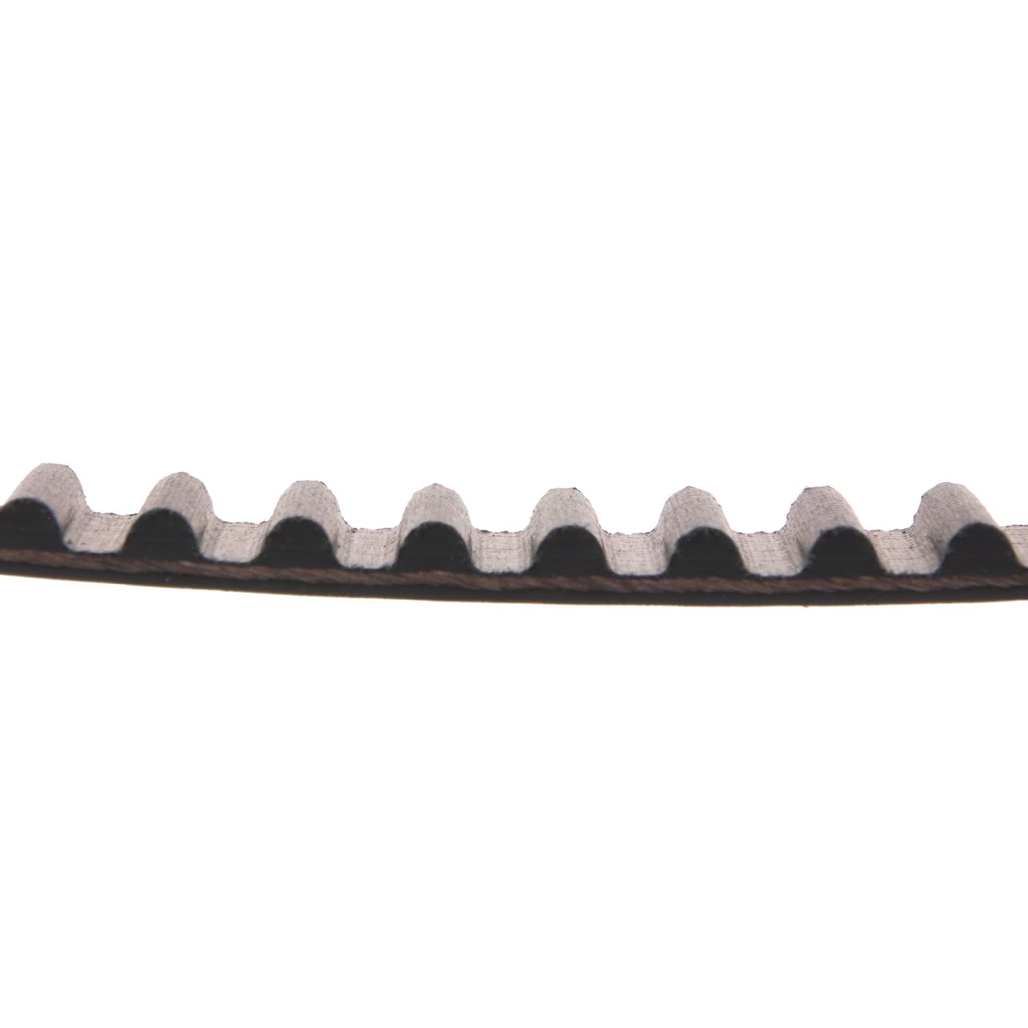 Bilstein Distribuzione ADK87505 cinghia dentata 103 denti