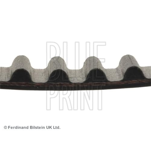 Bilstein Distribuzione Blue Print ADH27520 cinghia dentata, 104 denti