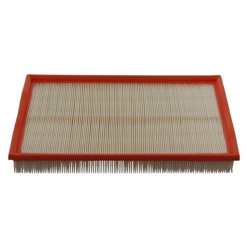 Bilstein Filtri 30369 filtro aria a cartuccia 341 x 206 x 41 mm