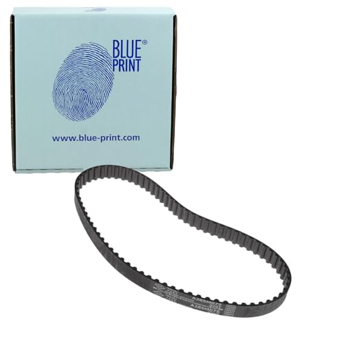 Bilstein Distribuzione Blue Print ADN17513 cinghia dentata