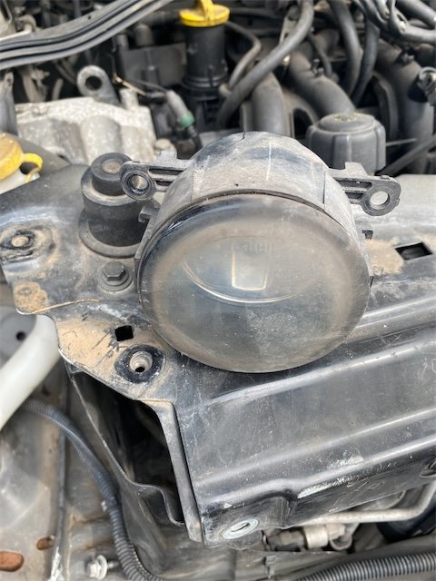Pomili Fanaleria Proiettore fendinebbia DX RENAULT TWINGO 2a Serie destro