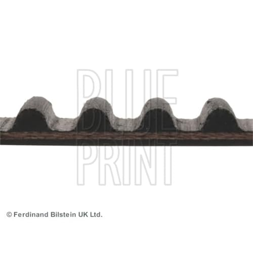 Bilstein Distribuzione Blue Print ADH27517 cinghia dentata 124 denti