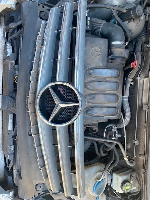 Pomili Lamierati esterni Griglia Mercedes-Benz Classe A (W/C169)