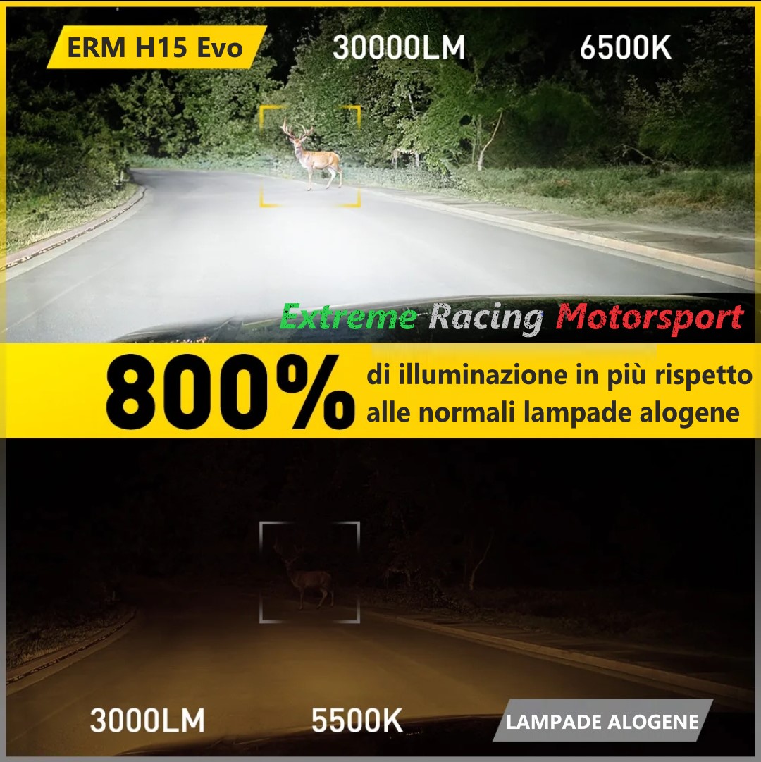 Xtreme Racing Lampadine LED ERM DRL XTREME H11 coppia 6500 K CANBUS