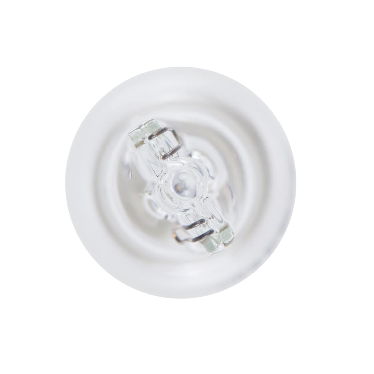 Bosch Lampadine e illuminazione Pure Light W16W lampadine auto 2 pezzi alogene