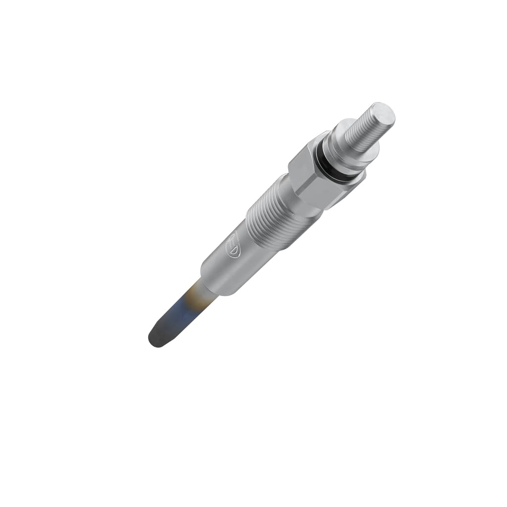Bosch Candelette 0250202020 GLP004 candeletta Duraterm