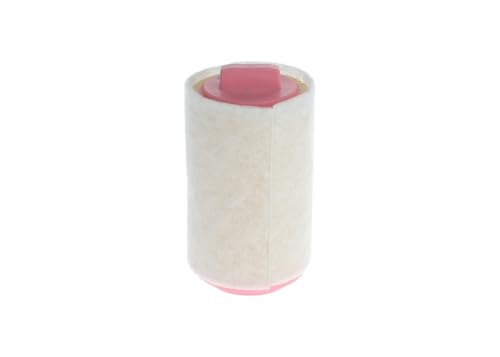 Bosch HCP Filtri F026400367 filtro aria per MINI