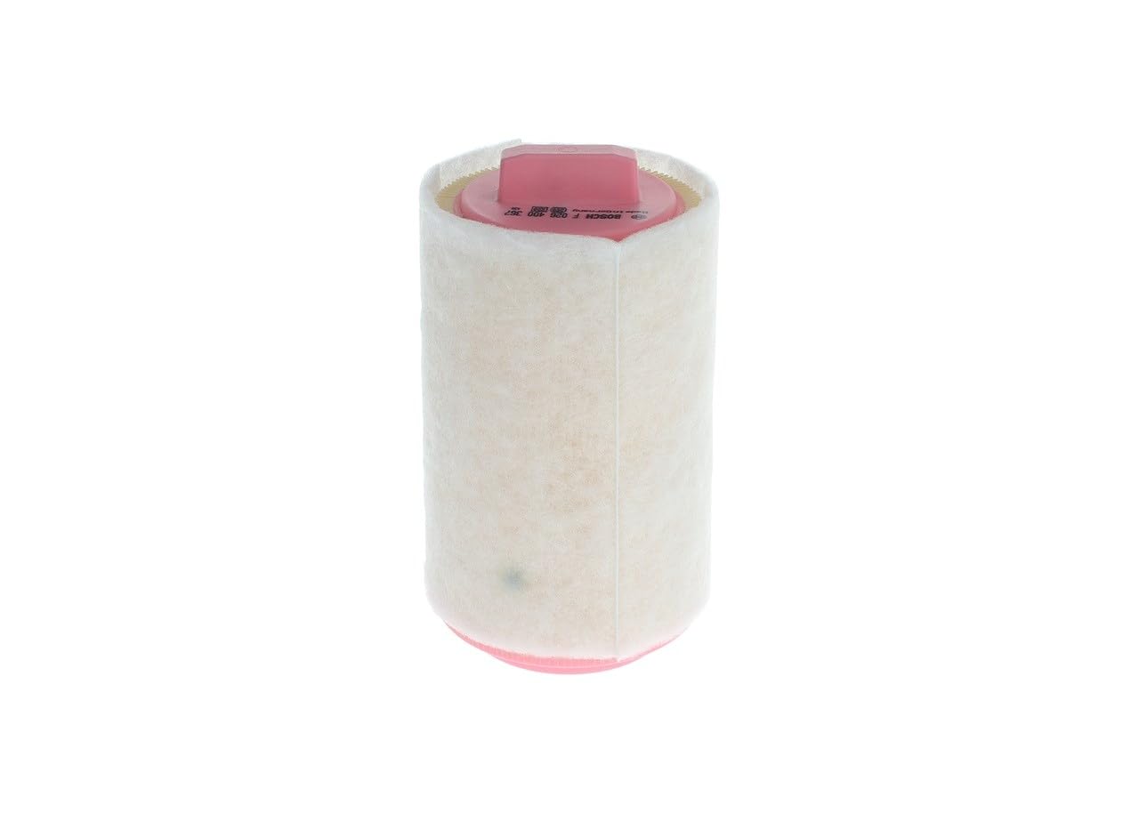 Bosch HCP Filtri F026400367 filtro aria per MINI