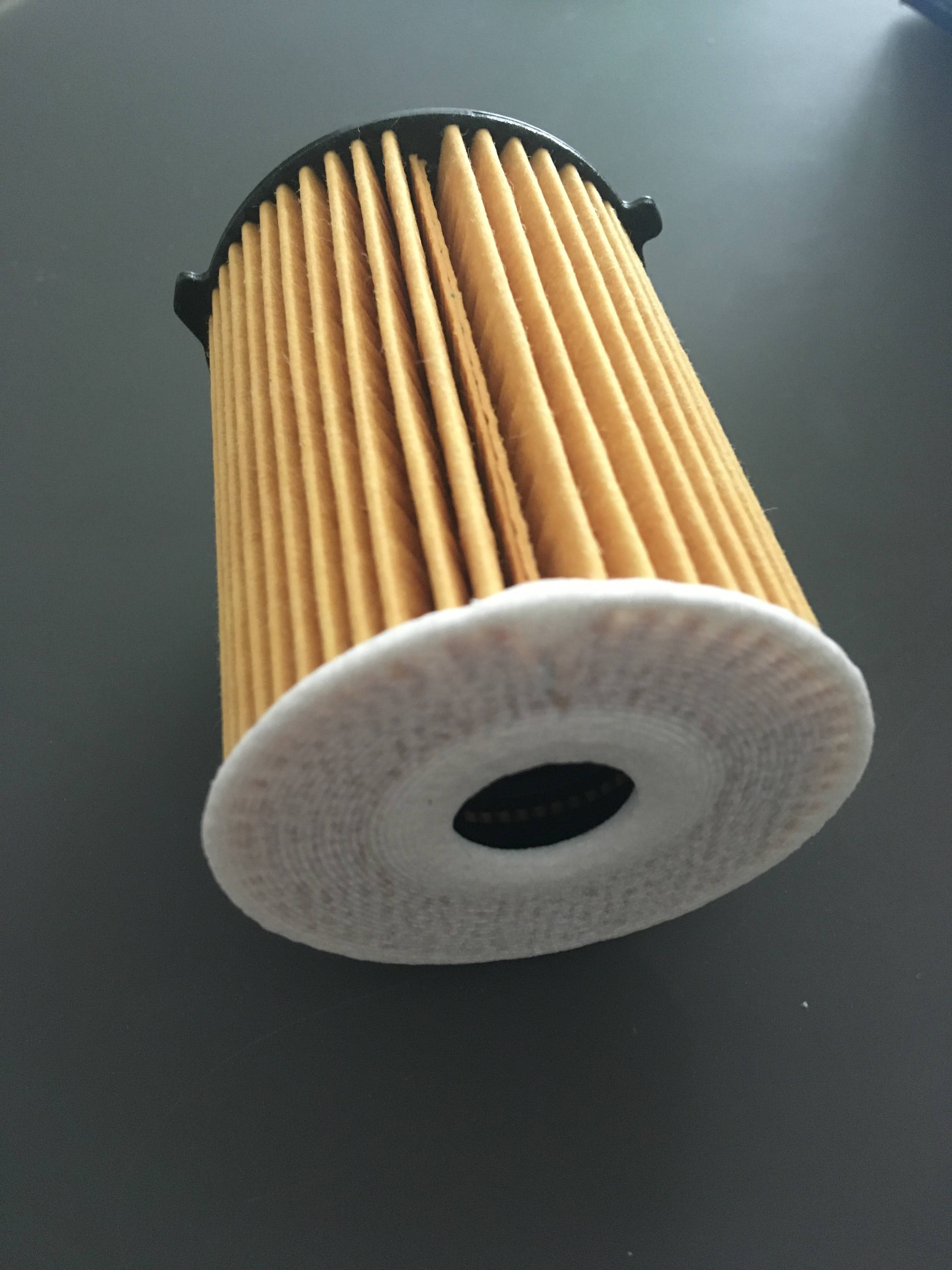 Bosch Filtri P9238 filtro olio motore resistente alla corrosione