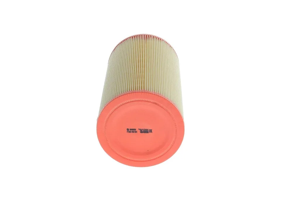 Bosch HCP Filtri F026400194 filtro aria ricambio motore