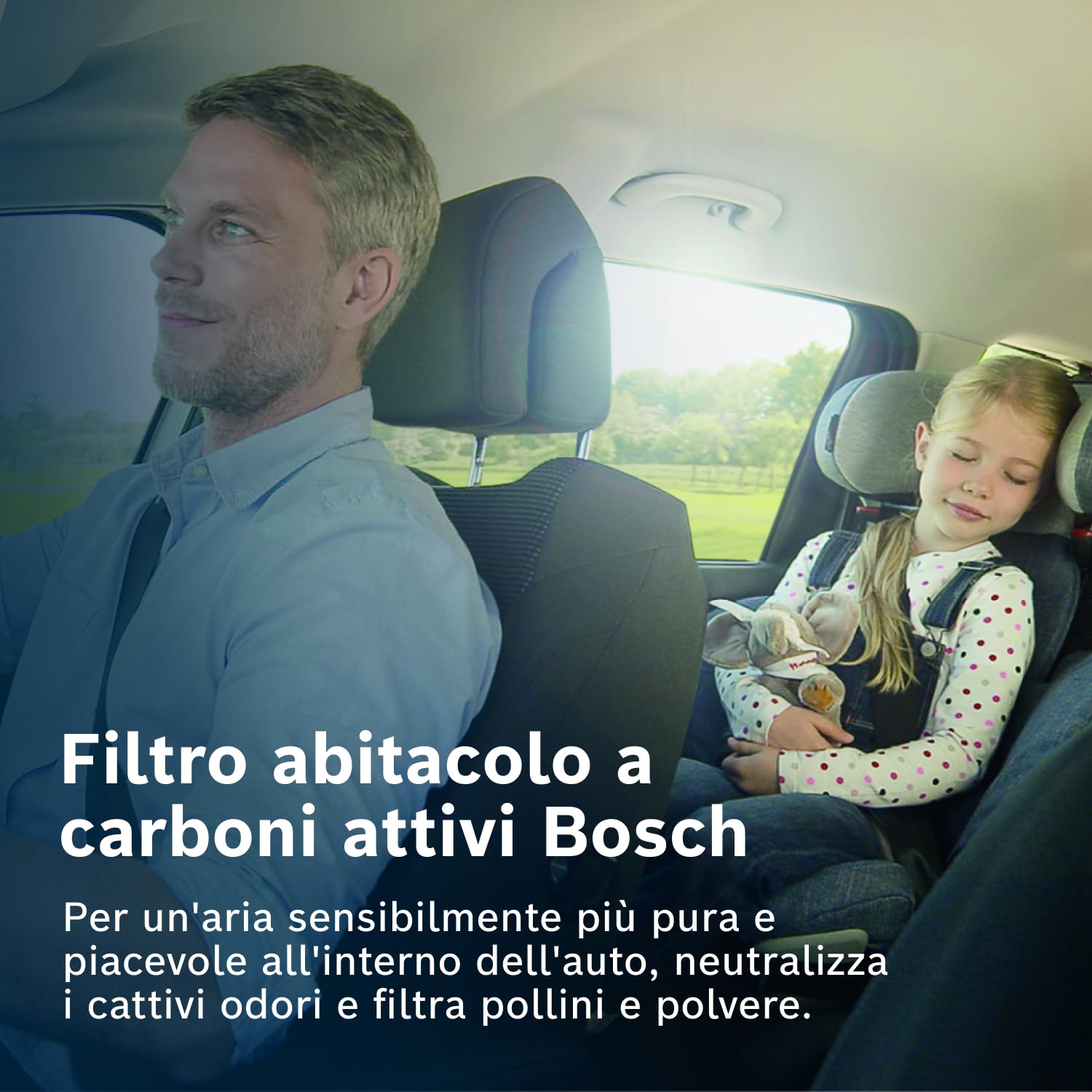 Bosch Filtri 1987432543 filtro abitacolo a carboni attivi 254 × 235 × 32 mm