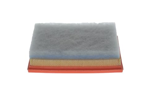 Bosch Filtri F026400613 filtro aria 239,4 × 182 × 36,3 mm