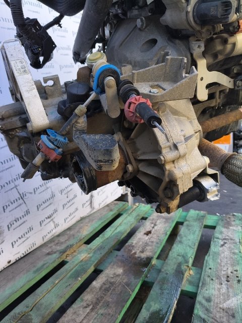 Pomili Cambio e trasmissioni Cambio completo Fiat Panda Van 33