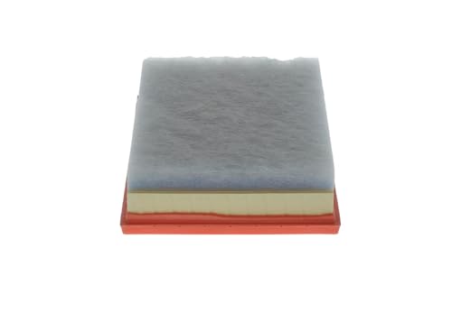 Bosch Filtri F026400613 filtro aria 239,4 × 182 × 36,3 mm