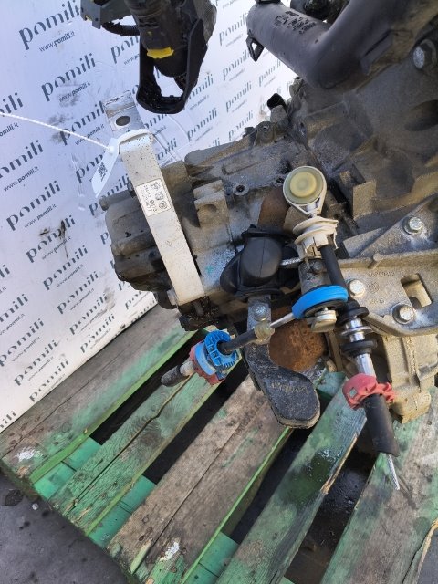 Pomili Cambio e trasmissioni Cambio completo Fiat Panda Van 33
