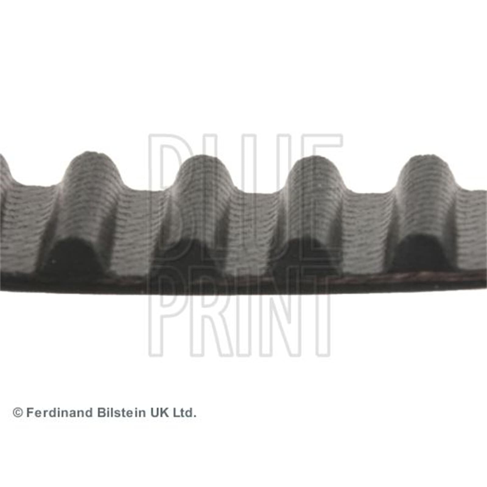 Bilstein Distribuzione Blue Print ADH27506 cinghia dentata