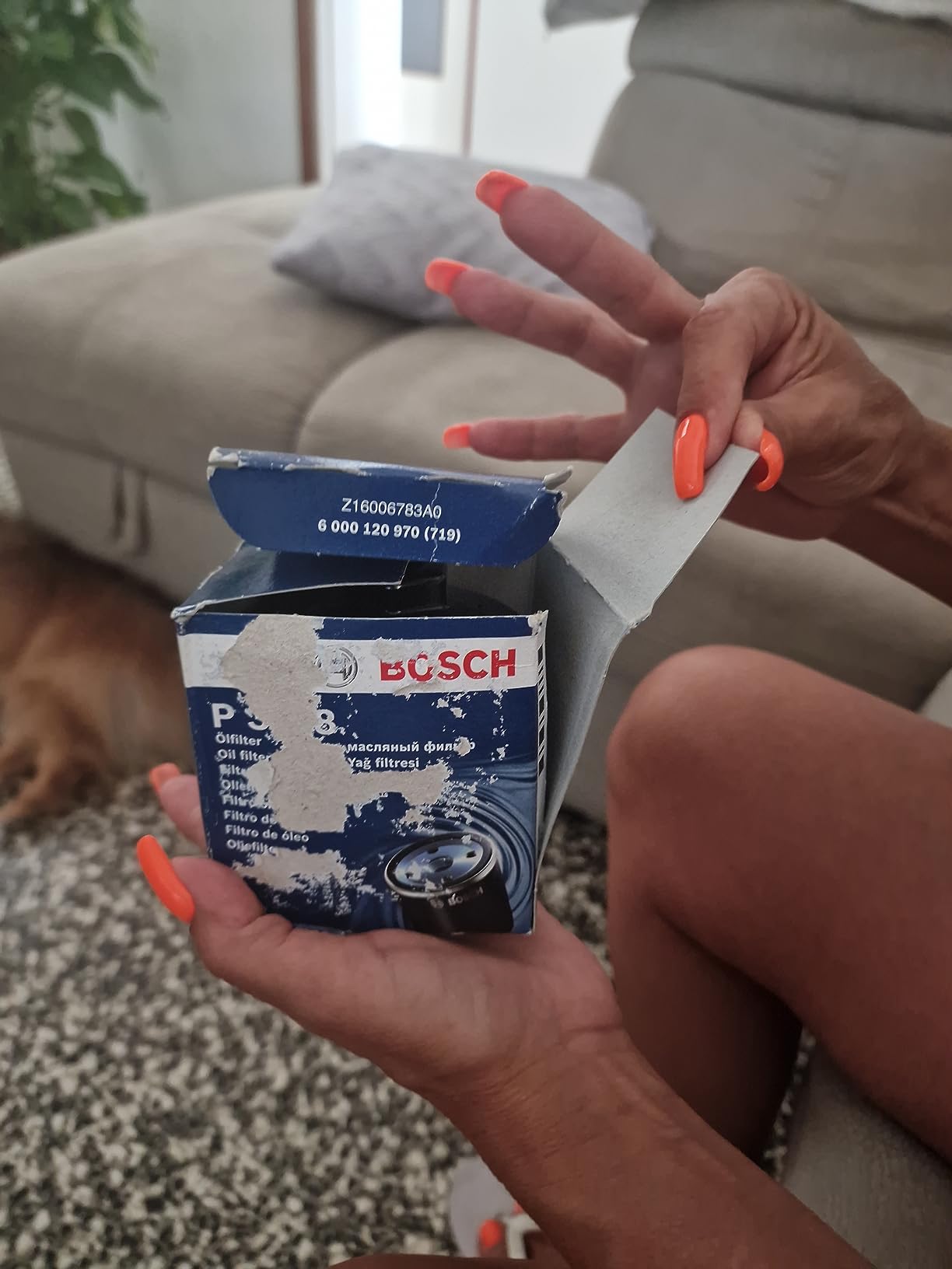 Bosch HCP Filtri P3318 filtro olio spin-on con valvola di non ritorno