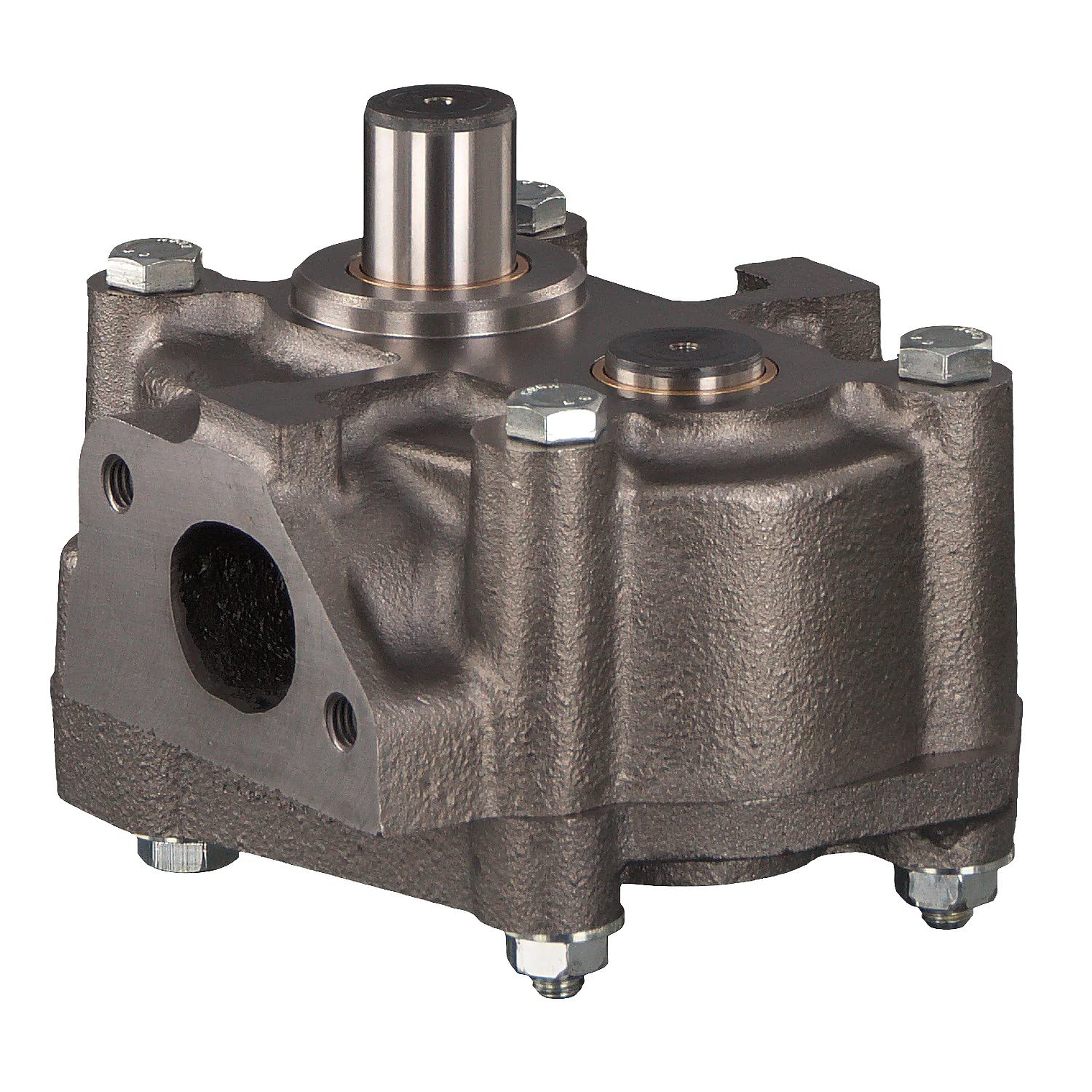 Bilstein Componenti Motore 45024 pompa olio motore