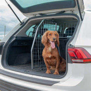 Travall Trunk Dividers MG HS 2024 divisorio bagagliaio per animali e bagagli