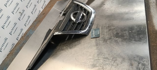 Pomili Lamierati esterni Nissan Juke F15E griglia