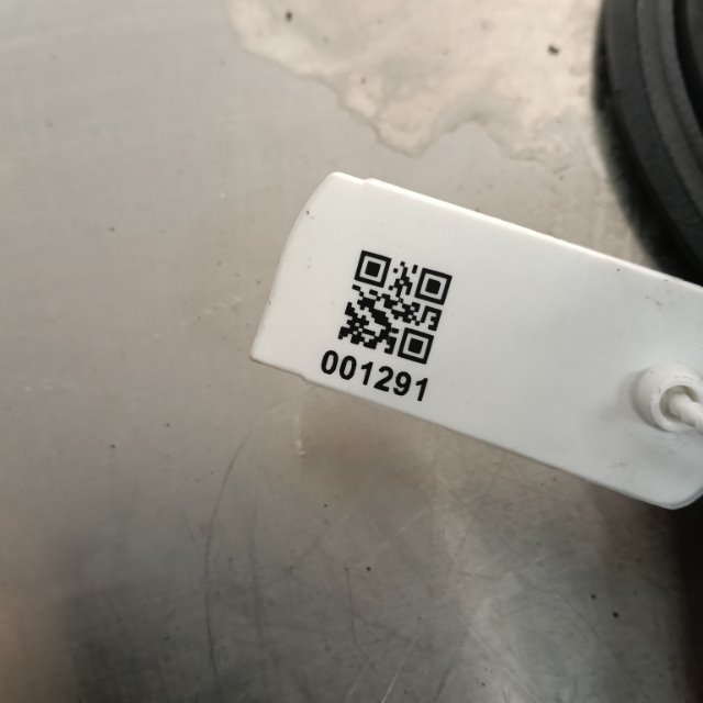 Pomili Elettronica/batteria ibride Renault Twingo 2a Serie altoparlante porta anteriore sinistro